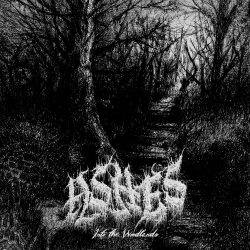 ASHES - Into the Woodlands (CD)